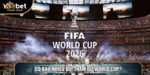 Có Bao Nhiêu Đội Tham Dự World Cup? Phá Vỡ Giới Hạn