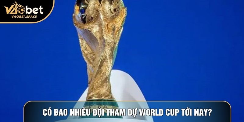 Có bao nhiêu đội tham dự World cup tới nay?