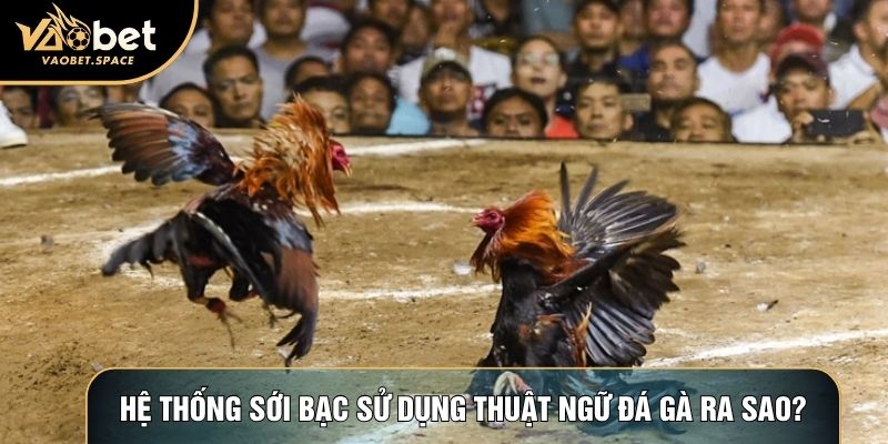 Hệ thống sới bạc sử dụng thuật ngữ đá gà ra sao?