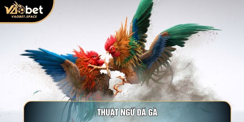 Thuật Ngữ Đá Gà Khóa Chặt Dòng Tiền Đầu Tư Trên Đấu Trường