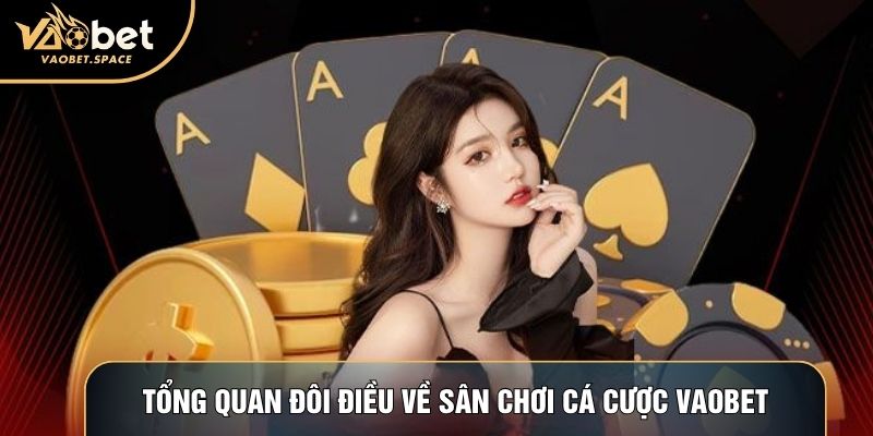 Tổng quan đôi điều về sân chơi cá cược online Vaobet